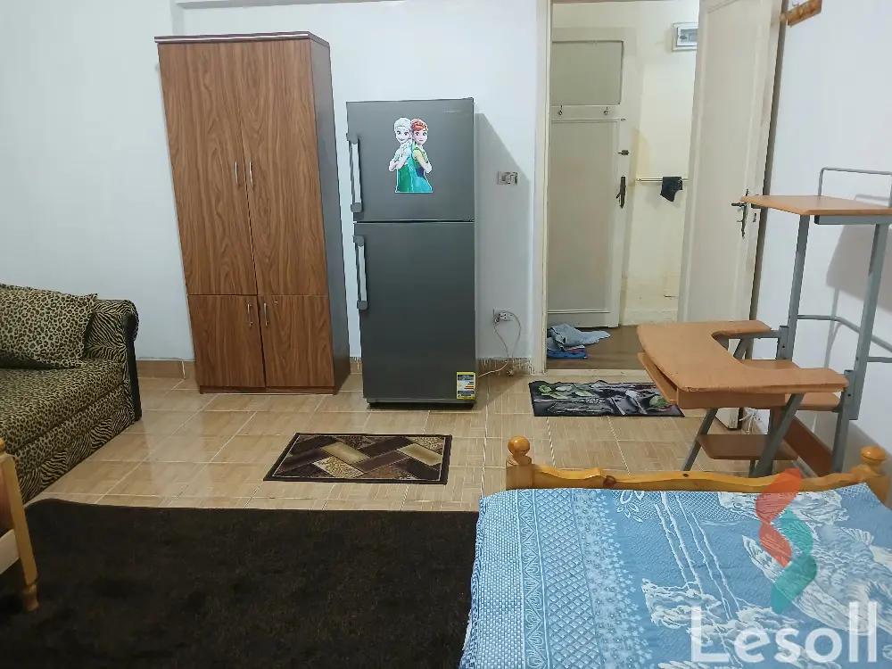 شقة للايجار الشهري بمساحة 100 متر و غرفتان في ميامي الاسكندرية