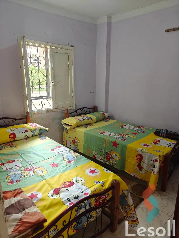 شقة للايجار الشهري بمساحة 65 متر و غرفتان في مدينة الشروق القاهرة