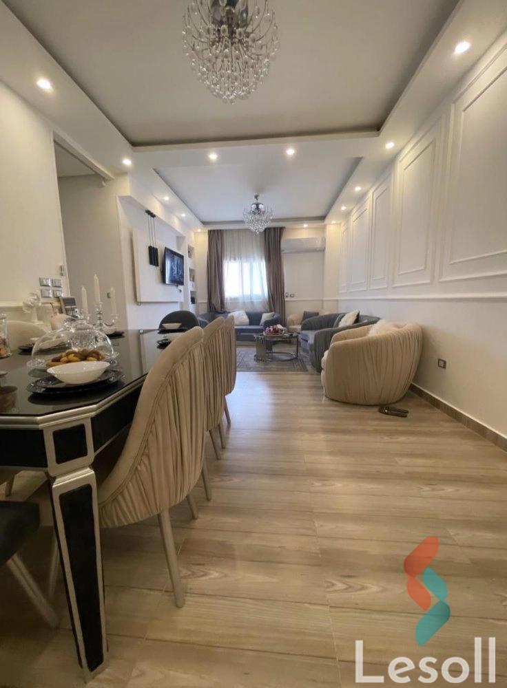 شقة للايجار الشهري بمساحة 240 متر و 3 غرف في الدقى الجيزة - الصورة الرئيسية