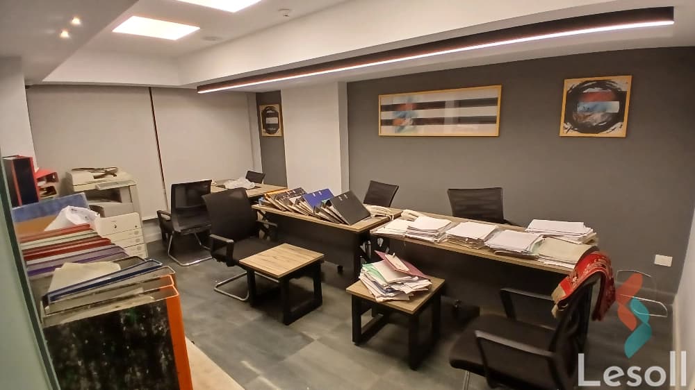 Furnished Office for Rent in Dokki | 230 sqm with World-Class Décor for Major Companies - Image 4