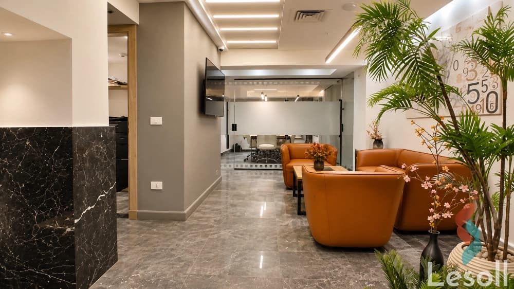 Furnished Office for Rent in Dokki | 230 sqm with World-Class Décor for Major Companies