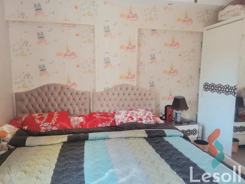 Apartment for monthly rent with an area 200 meters and 3 rooms in Dokki Giza  - All Images