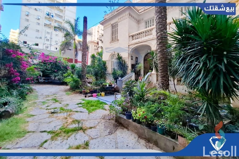 فيلا للبيع -500 م - رشـدى - بحديقة  وجراج - مرخصة +8 غرف +2 حمام - صورة 3