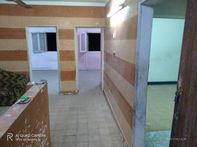 محمدسعيد سعيد