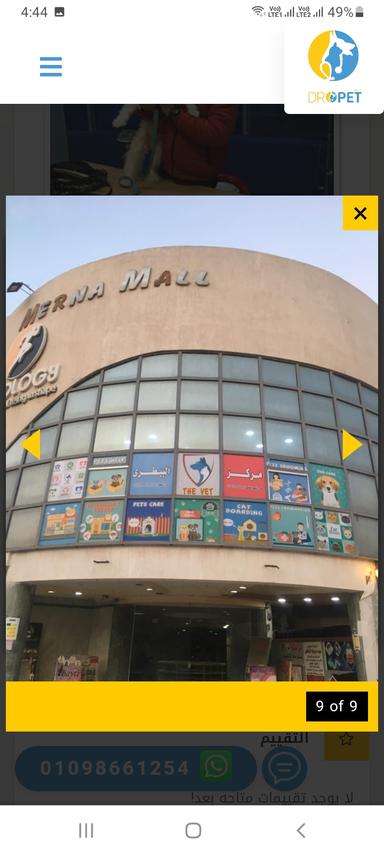 Mohsen Allam اكورديون Accordion