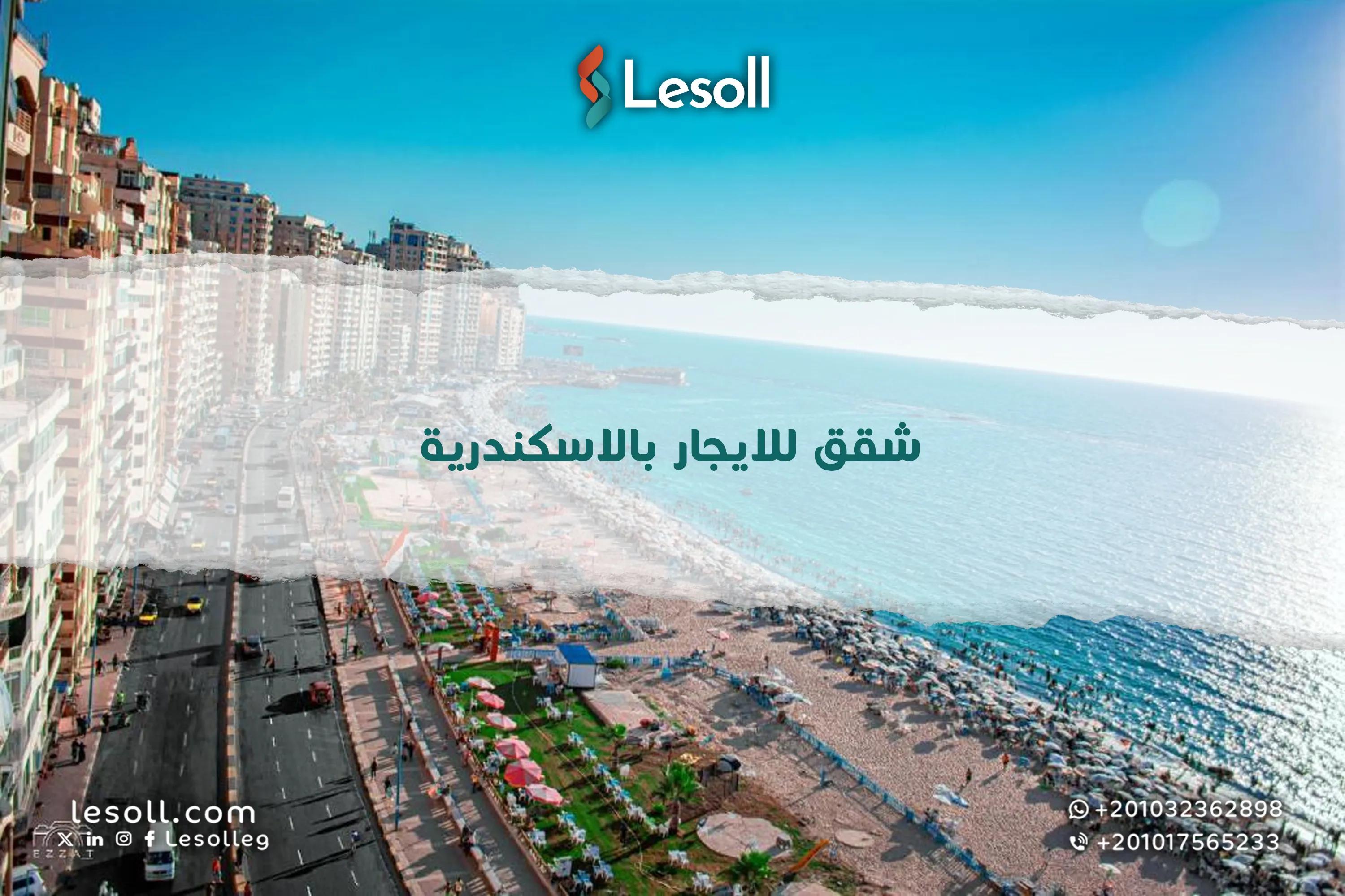 صورة مقالة: شقق للايجار بالاسكندرية - سكن مريح بأفضل الأسعار