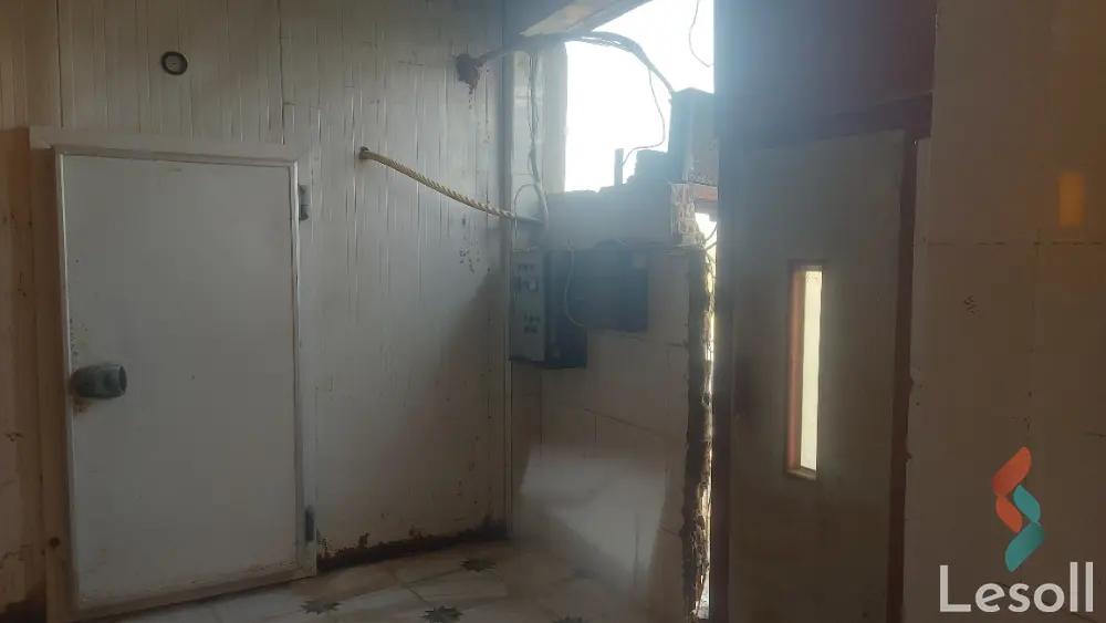 Factory for sale with an area of 1000 meters in Kafr El Sheikh Kafr Al sheikh 