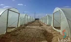 Land agriculture for sale with an area of 1050000 meters in Tamiya Fayoum 