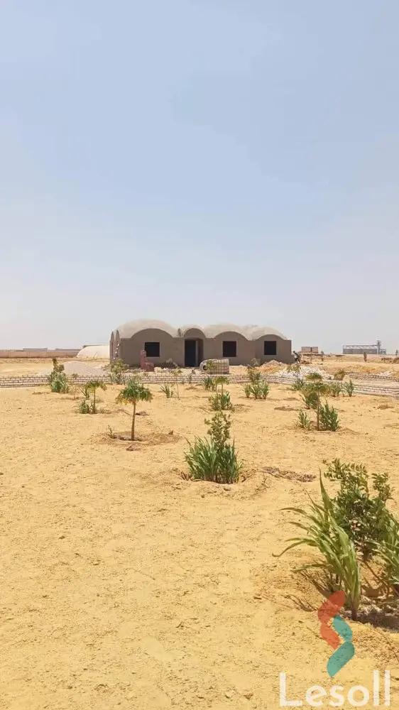 Land agriculture for sale with an area of 1050000 meters in Tamiya Fayoum 