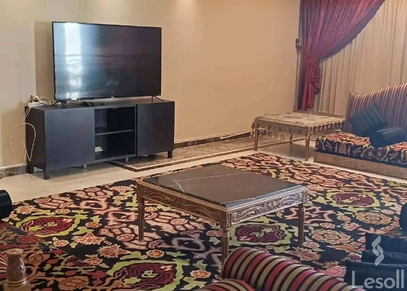 شقة مفروشة للايجار بموقع متميز في مدينة نصر شارع احمد فخري الرئيسي