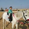 Amr Ibrahim