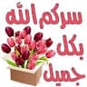 Omar Kamal