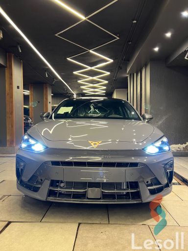 كوبرا ليون اوتوماتك جديدة رمادي داكن موديل 2026