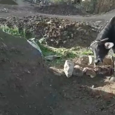 ارض مبانى للبيع بمساحة 103 متر في الوراق الجيزة 