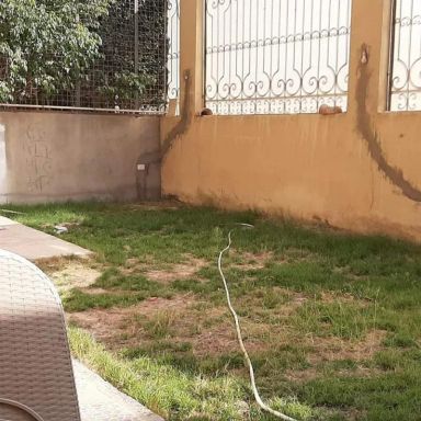 شقة بحديقة للبيع بمساحة 170 متر و 3 غرف في التجمع الاول القاهرة