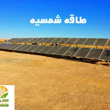 ارض زراعية للبيع بمساحة 1003 متر في سيوة مطروح 