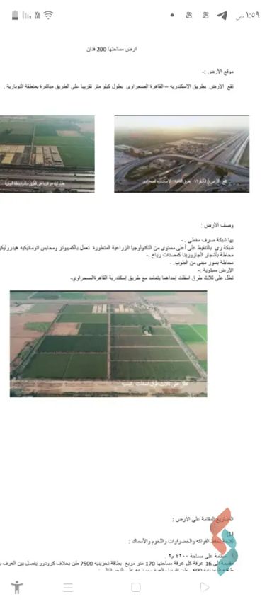 ارض زراعية للبيع بمساحة 12600 متر في السيوف الاسكندرية 