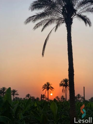 ارض زراعية للبيع بمساحة 175 متر في كوم حمادة البحيرة 