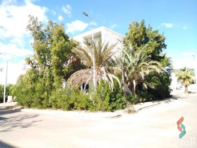 شقة بحديقة للبيع بمساحة 70 متر و غرفتان في دهب جنوب سيناء