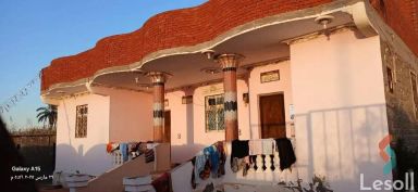 زراعية للبيع بمساحة 6,301 متر في العامرية الاسكندرية 