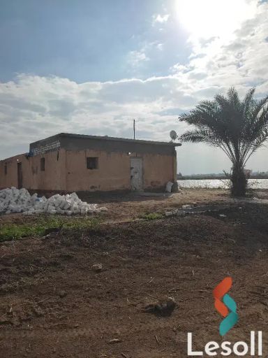 ارض زراعية للبيع بمساحة 42,000 متر في الحامول كفر الشيخ 