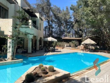 بنتهاوس للبيع بمساحة 500 متر و 6 غرف في  الشيخ زايد الجيزة