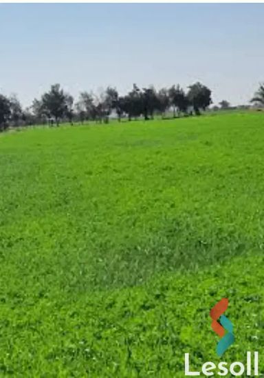 ارض زراعية للبيع بمساحة 35,330 متر في قطور الغربية 