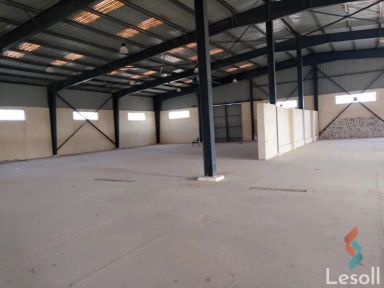 Factory for sale with an area of 2500 meters in Bourj Alarab Alexandria 