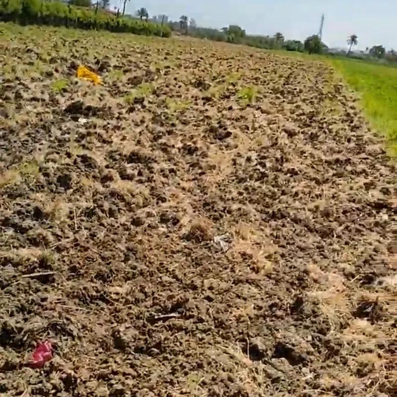 Land agriculture for sale with an area of 4200 meters in Giza Land agriculture for sale with an area of 4200 meters in Giza