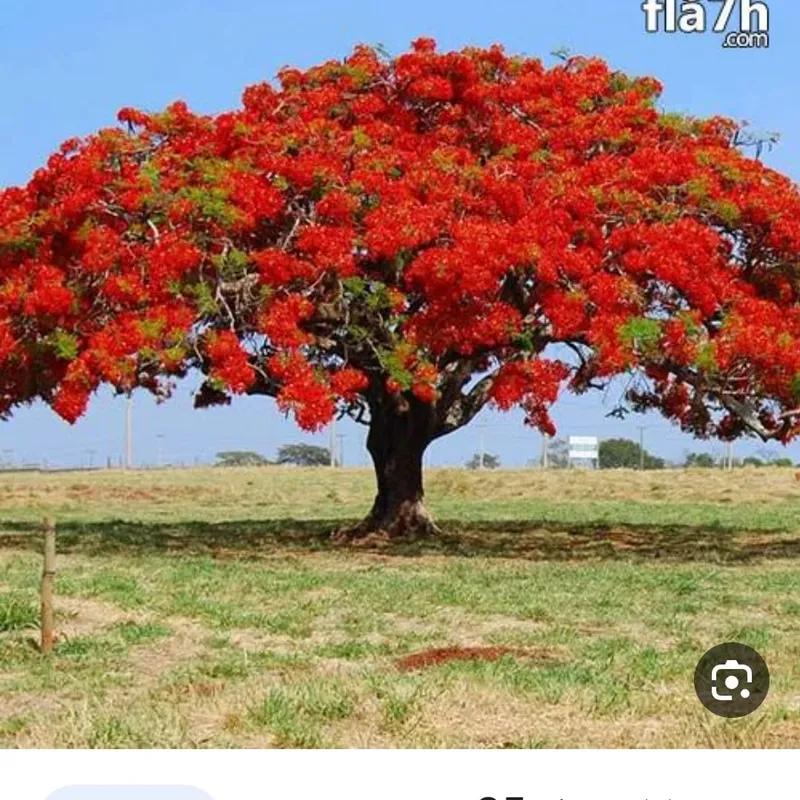 شقة للبيع بمساحة 175 متر و 3 غرف في الشرقية - صورة 4