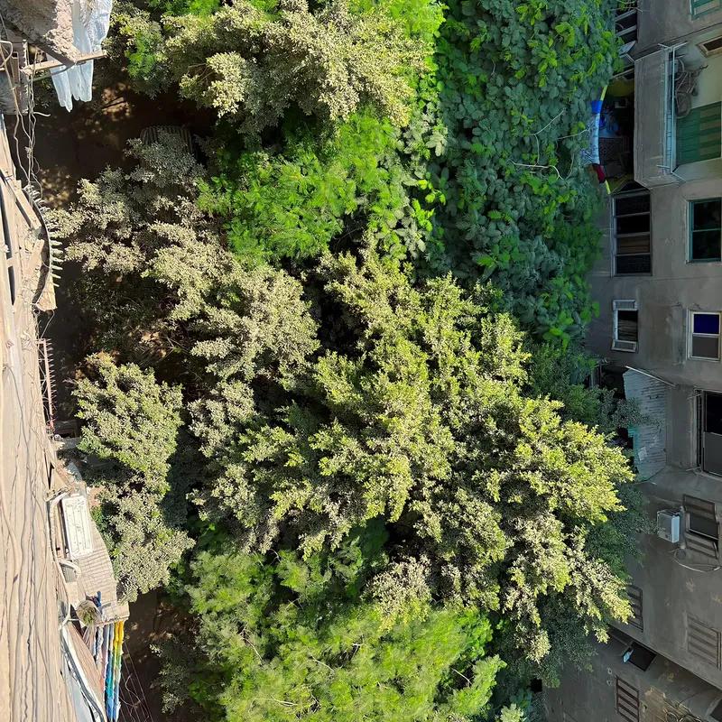 Apartment for sale with an data.area 135 meters and 2 room in El Sharabeya Cairo