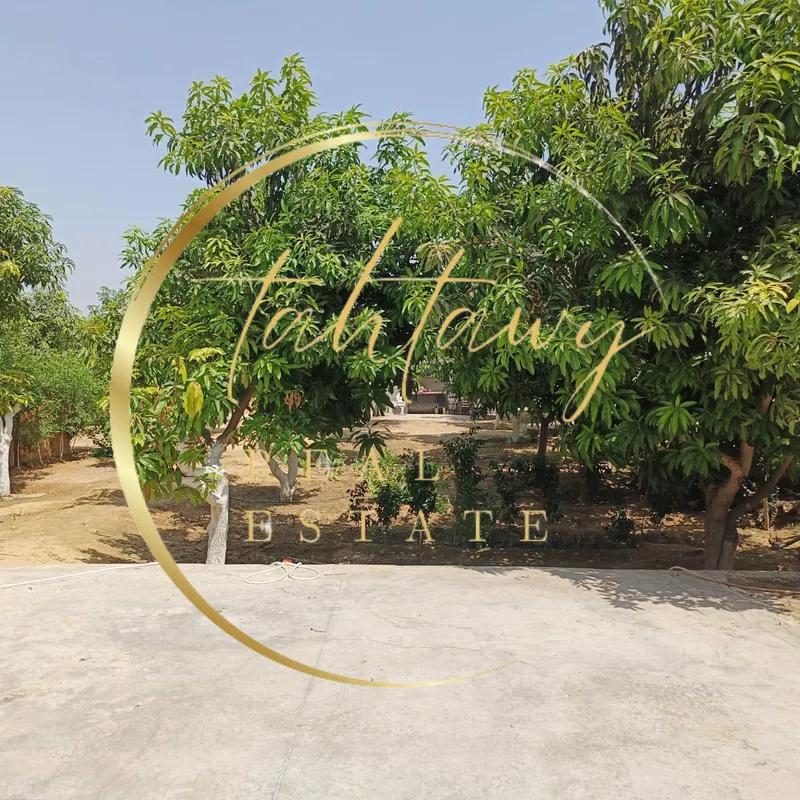 Villa for sale with an data.area 2,000 meters and 4 data.rooms in Qaliubiya