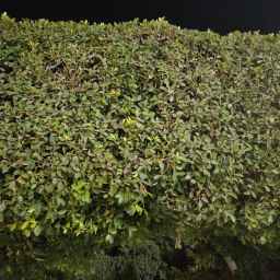 شاليه بقرية سياحية للتمليك