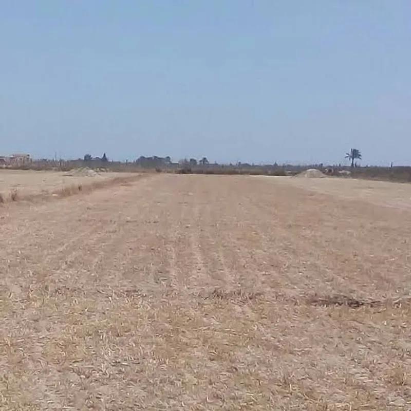 Land agriculture for sale with an area of 40500 meters in Beni Suef