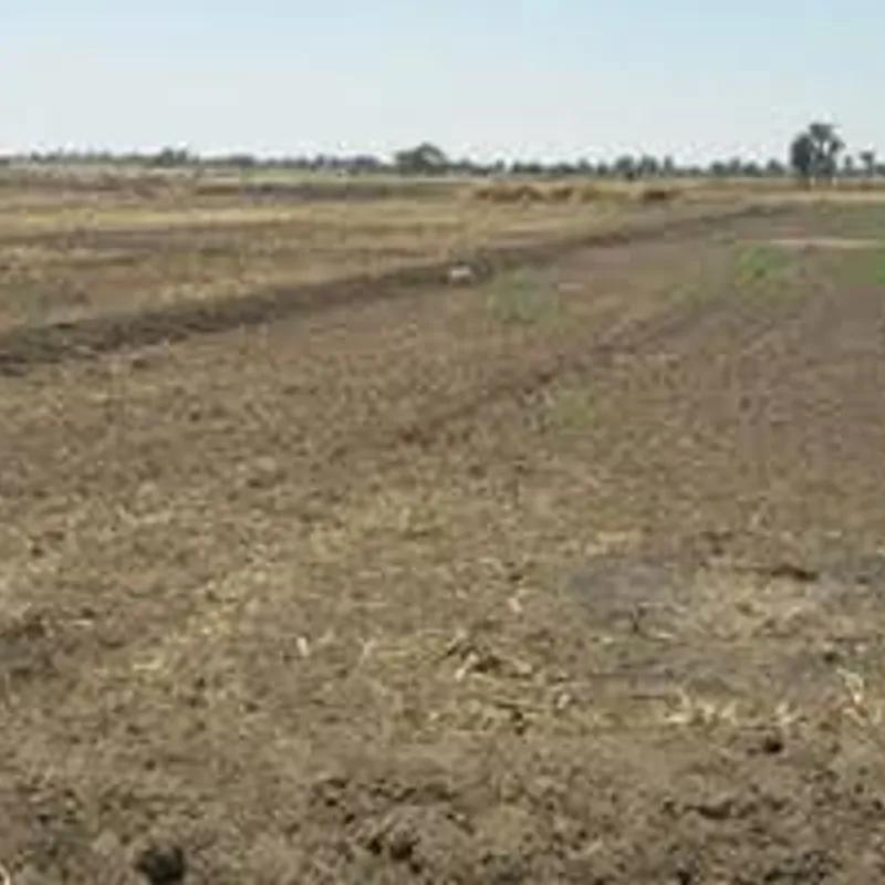 Land agriculture for sale with an area of 40500 meters in Beni Suef