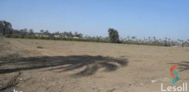 Land agriculture for sale with an area of 21000 meters in New Nubaria Beheira