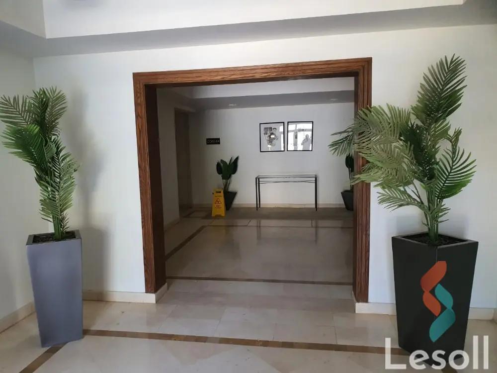 شقة بحديقة للايجار الشهري بمساحة 200 متر و 32 غرف في القاهرة الجديدة القاهرة