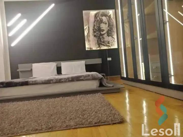 Hotel Apartment for monthly rent with an data.area 250 meters and 3 rooms in Nasr City Cairo