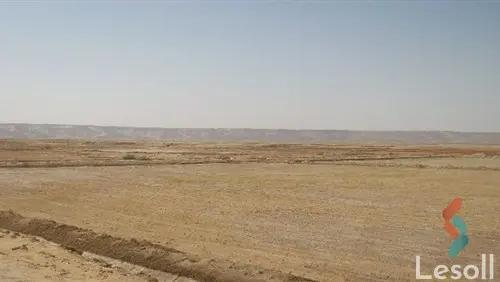 Building for sale with an area 506 meters in Badr City Cairo