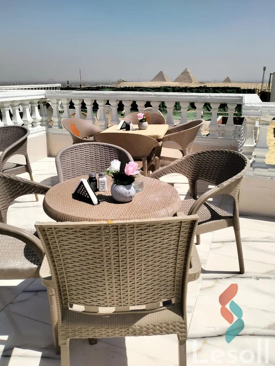 نادي رياضي للايجار السنوي بمساحة 250 متر في حدائق الأهرام الجيزة - صورة 4