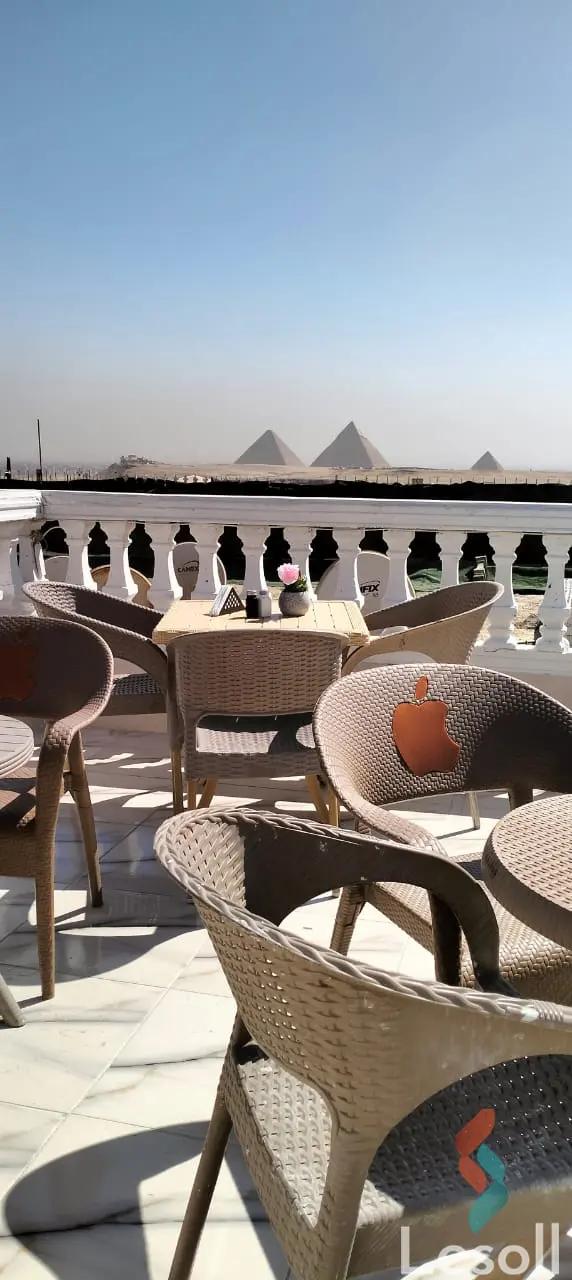 نادي رياضي للايجار السنوي بمساحة 250 متر في حدائق الأهرام الجيزة نادي رياضي للايجار السنوي بمساحة 250 متر في حدائق الأهرام الجيزة