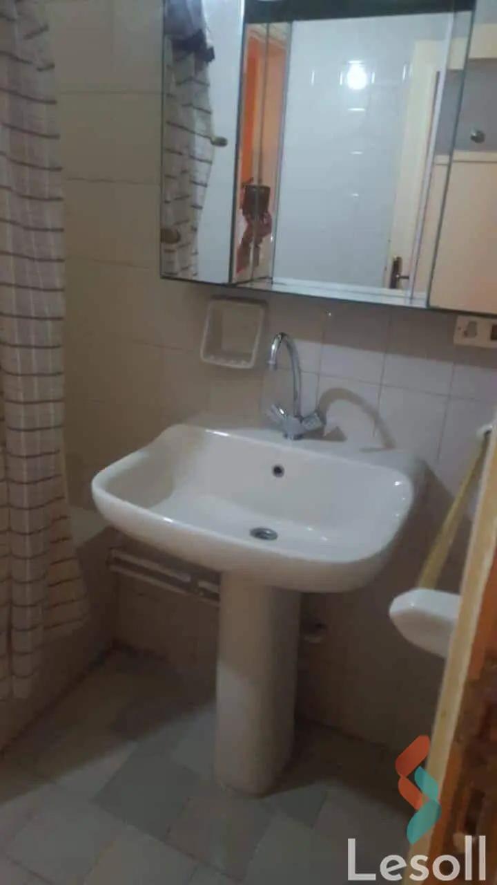 Apartment for monthly rent with an area 180 meters and 2 room in Nasr City Cairo - All Images