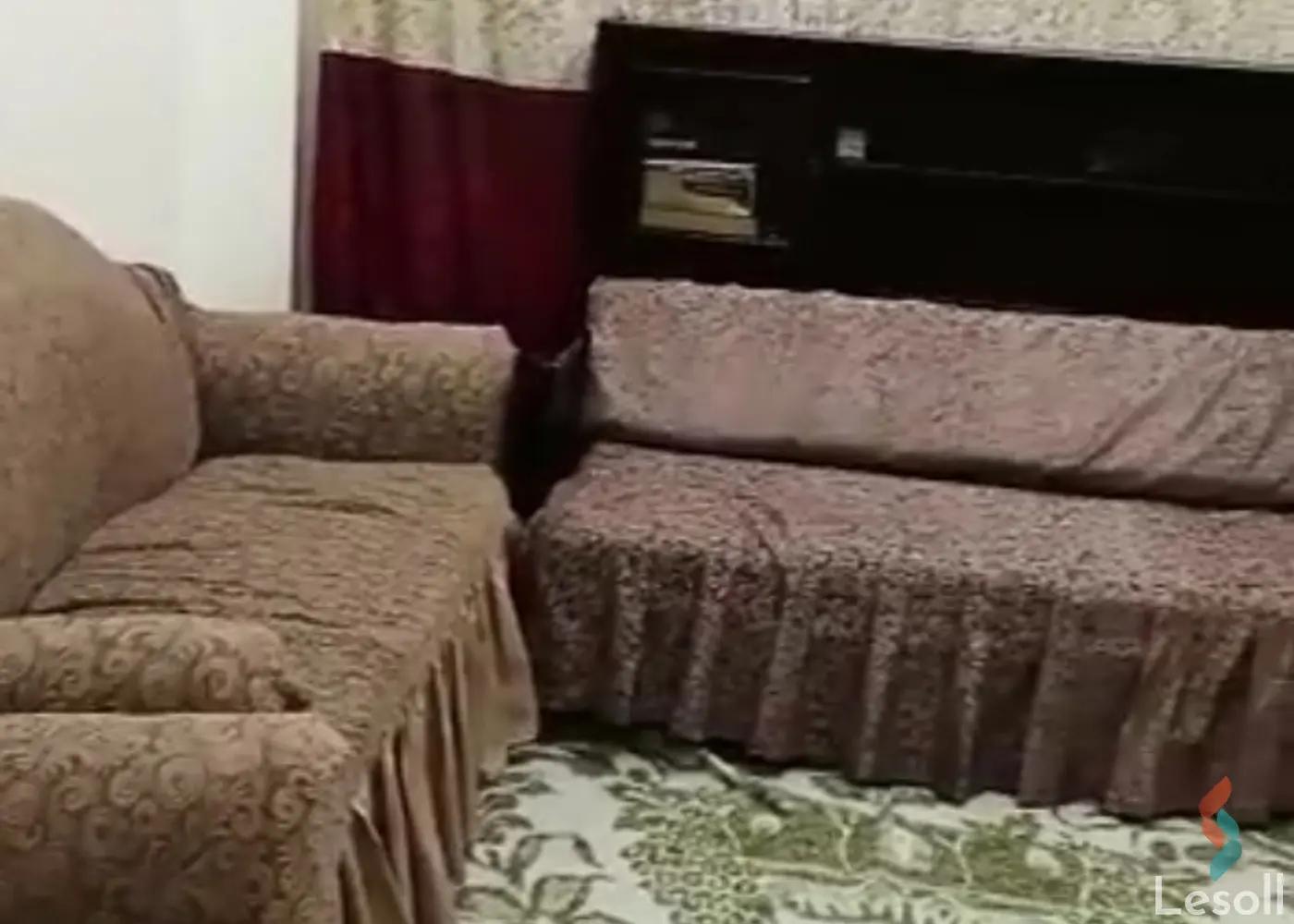 Apartment for sale with an data.area 100 meters and 2 room in Nasr City Cairo - Image 2