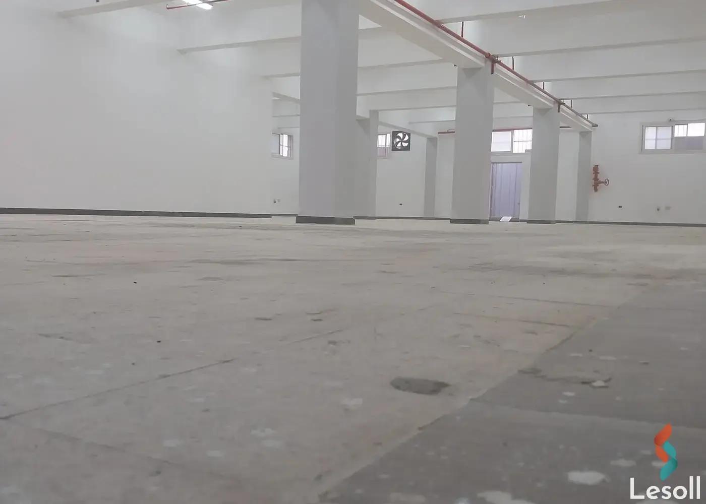 Factory for monthly rent with an data.area of 700 meters in Badr City Cairo