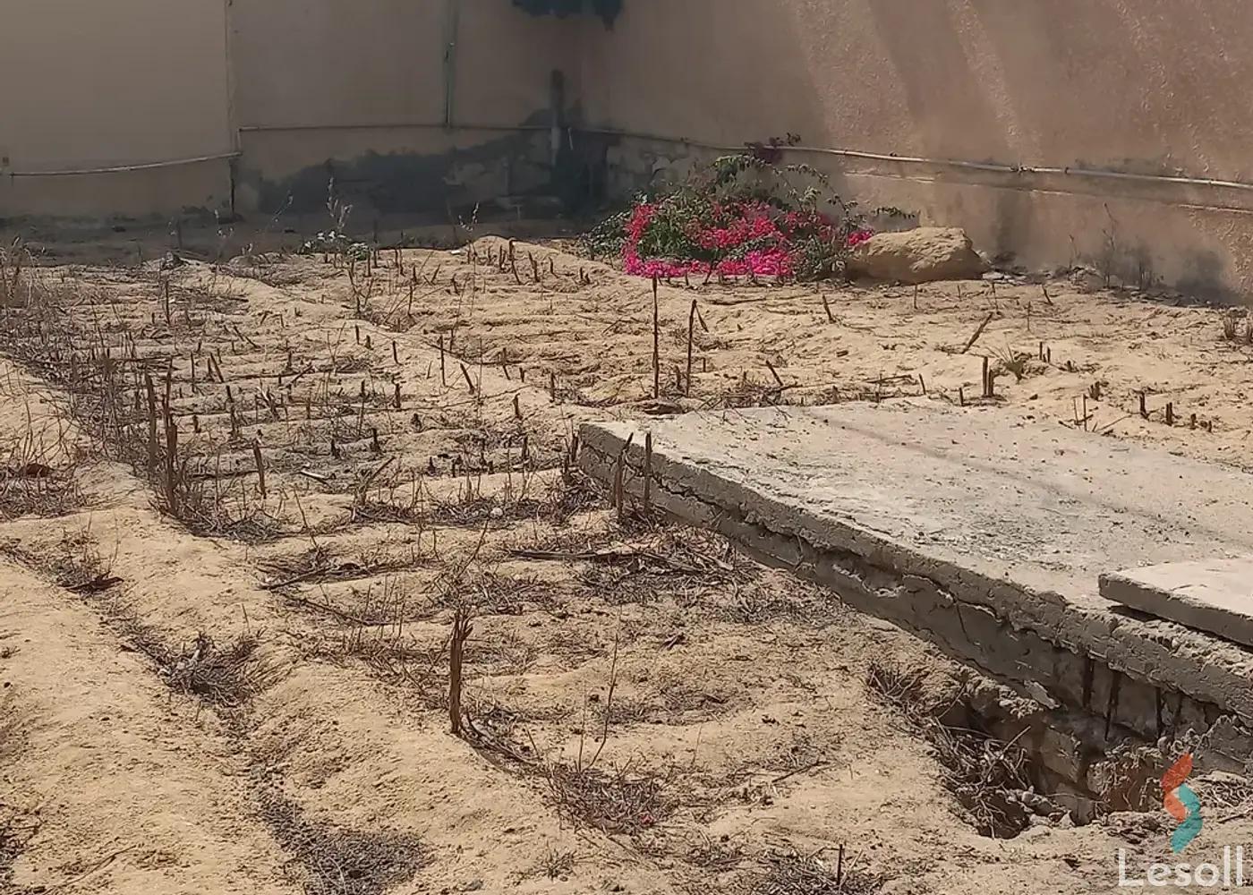 ارض زراعية للبيع بمساحة 4000 متر في العبور القليوبية