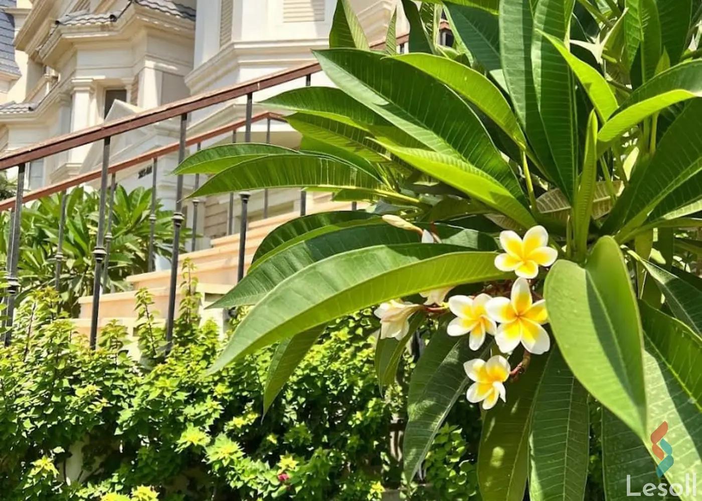 Apartment with garden for sale with an data.area 115 meters and 3 data.rooms in New Cairo Cairo - Image 4