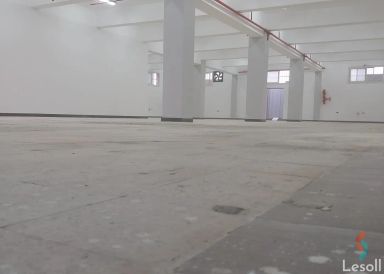 Factory for monthly rent with an data.area of 700 meters in Badr City Cairo