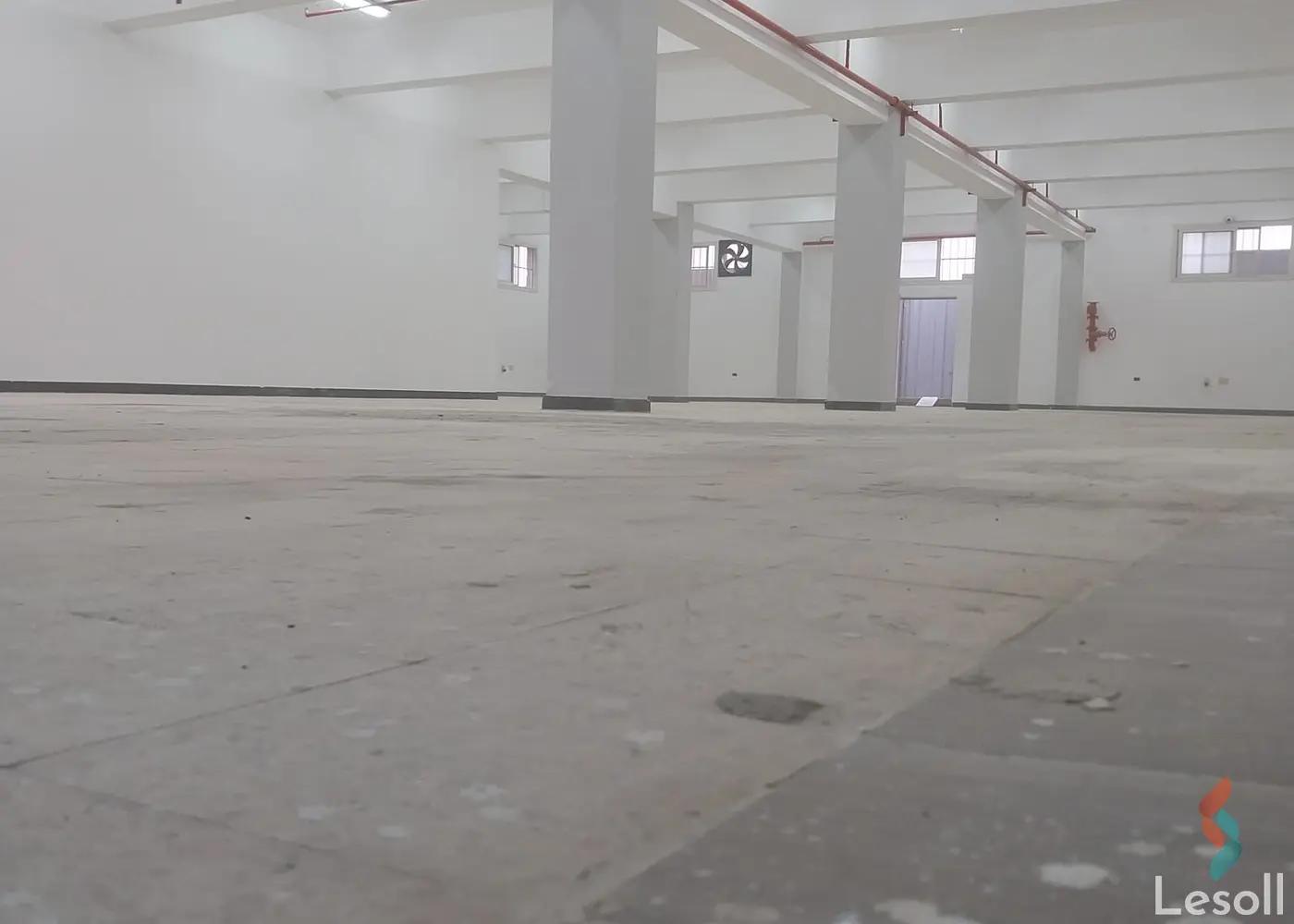 Factory for monthly rent with an data.area of 700 meters in Badr City Cairo