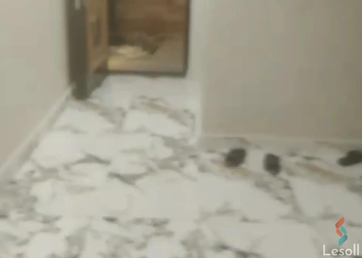 شقة للبيع بمساحة 240 متر و 3 غرف في حدائق الأهرام الجيزة - صورة 2