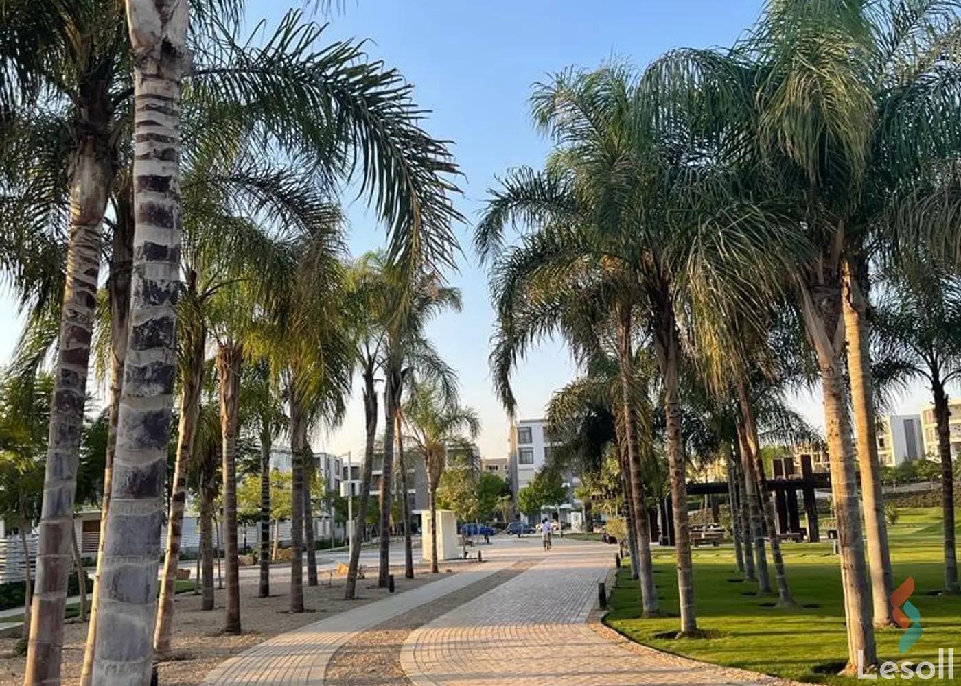 شقة بحديقة للبيع بمساحة 165 متر و 3 غرف في التجمع الاول القاهرة